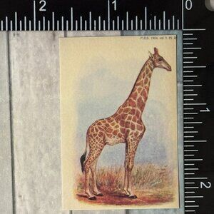 🌀10/$10🌀 Classic Grassland Animals Reusable Washi Sticker Decal